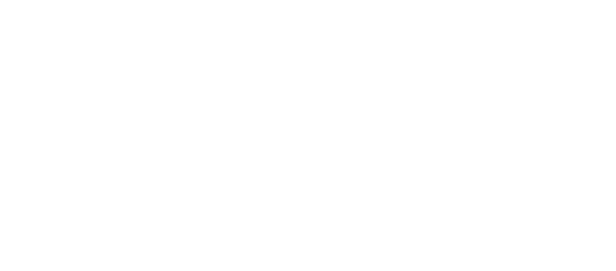 Grupo Ibiza Patos